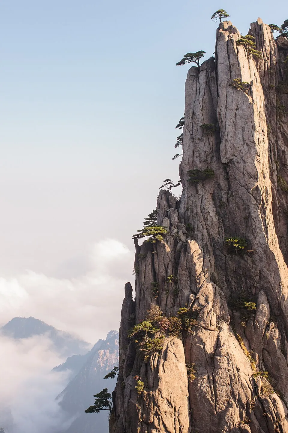 Pine trees growing on a steep granite peak above clouds at Huangshan